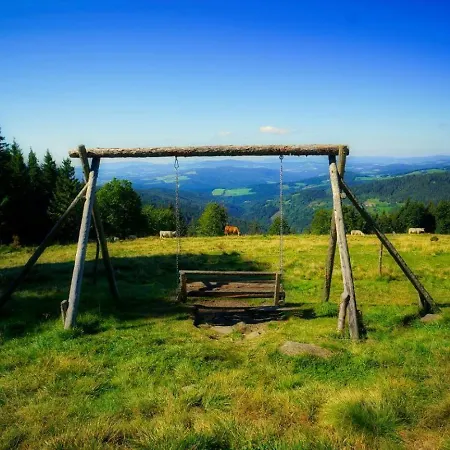 Pensionat Glatzl Trahuetten Alm Sankt Lorenzen am Wechsel