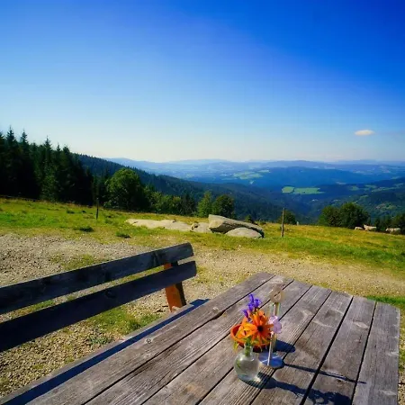 Glatzl Trahuetten Alm * Sankt Lorenzen am Wechsel