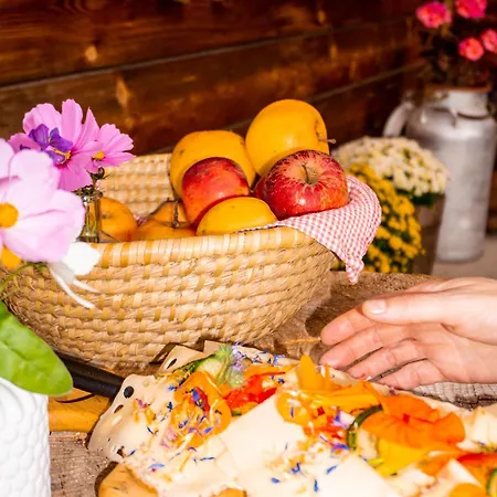 Glatzl Trahuetten Alm Konukevi