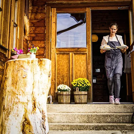 Glatzl Trahuetten Alm Sankt Lorenzen am Wechsel