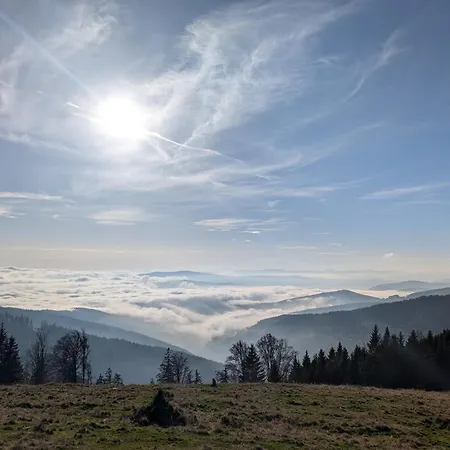 Konukevi Glatzl Trahuetten Alm Sankt Lorenzen am Wechsel