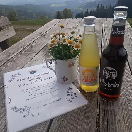 Pensionat Glatzl Trahuetten Alm *
