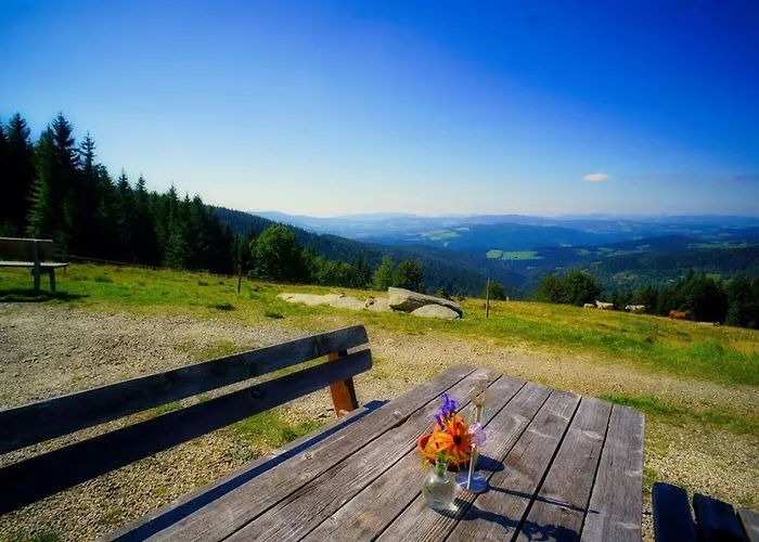 Glatzl Trahuetten Alm * Sankt Lorenzen am Wechsel