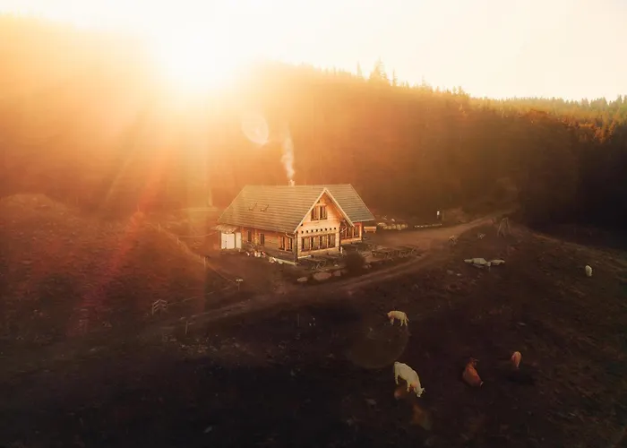 Glatzl Trahuetten Alm *