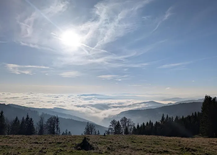 Πανσιόν Glatzl Trahuetten Alm Sankt Lorenzen am Wechsel